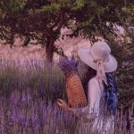 دانلود آهنگ آهای خانم الهه صورتت چو قرص ماهه