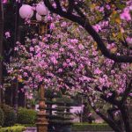 دانلود آهنگ مسعود فردمنش دارم از تو مینویسم