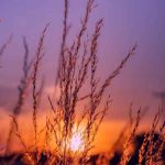 دانلود آهنگ بهش بگین همین روزا توی دلم میکشمش