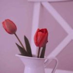 دانلود آهنگ من غریب دریا نشسته اینجا