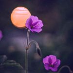دانلود آهنگ منم قول میدم برسم بالا ببینه بابام