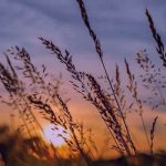 دانلود آهنگ بلا ای بلا دختر مردم
