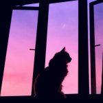 دانلود آهنگ نداره عیب دارم برات آره دارم برات
