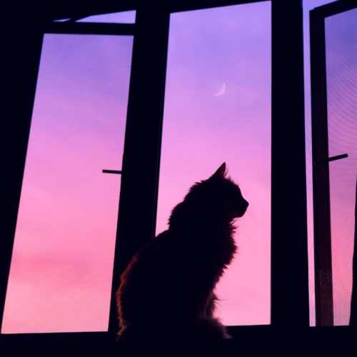 دانلود آهنگ نداره عیب دارم برات آره دارم برات