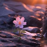 دانلود آهنگ نگاه بکن به چشمام به خاطر تو خیسن