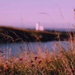دانلود آهنگ سنگ فرش خیابونارو گل کردم برات