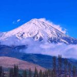 دانلود آهنگ آن دوست که من دارم آن یار که من دانم