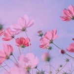 دانلود آهنگ با تو کاری ندارم چون قیافت نازه