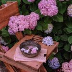دانلود آهنگ بگو ببینم خانم خوب و خوشی و آروم