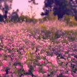 دانلود آهنگ خم کلو یارم کلو خش و حال آدم کلو