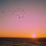 دانلود آهنگ من بچه پایین بودم تو اون بالا بود خونتون