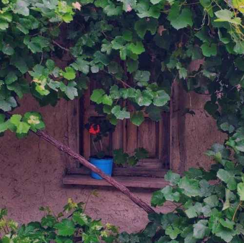 دانلود آهنگ معشوقه ی من ای هستی من دانلود آهنگ معشوقه ی من ای هستی من