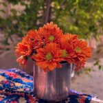 اهنگ یه امشب شب عشقه همین امشبو داریم