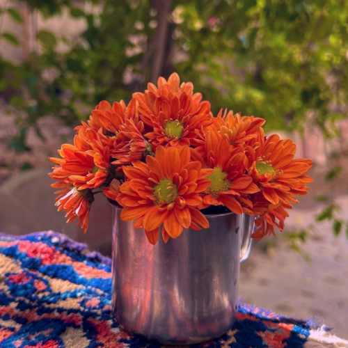 دانلود آهنگ یه امشب شب عشقه همین امشبو داریم