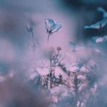 دانلود آهنگ یعقوب یعقوب کیه آژیرای مامور