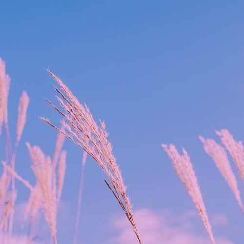 دانلود آهنگ داره جاذبه هوای بندر
