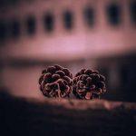 دانلود آهنگ دل من گرفته امشب بدجور