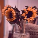 دانلود آهنگ ای شاخه پرگل قشنگم