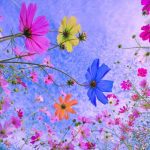 دانلود آهنگ نازتو من میخرم وای اگه باشی