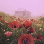 دانلود آهنگ کاروان خباتی ئه ی توخوا له یلی گیان