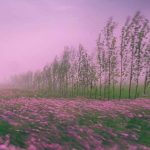 دانلود آهنگ کاروان خباتی گشت شه ویک ئه لیم