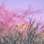دانلود آهنگ به من میگن گلپری