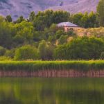 دانلود اهنگ دردی کورد بونم له لایک دردی