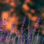 دانلود آهنگ همه جوره بودم اما دیگه نیستم من