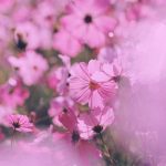 دانلود آهنگ تو قلب من نشستی قلب منو شکستی