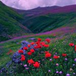 دانلود آهنگ اگه بت نمره بدم هزاری از صد