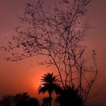 دانلود آهنگ آتش نزن دیگر به جانم