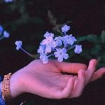دانلود آهنگ بله رو بگو ای یار عاشقت شدم ای وای