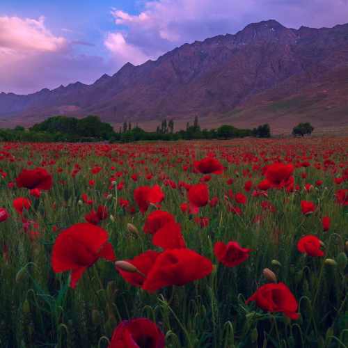 دانلود آهنگ بیلی بیلی یاندی اورگیم