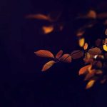 اهنگ دروغ نگو دروغ نگو لااقل تو روم نگو