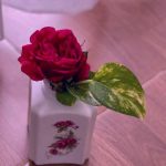 دانلود آهنگ خوبه که دارمت دلی دوست دارمت