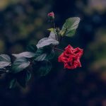 دانلود آهنگ منو درگیر عشق خودت کردی