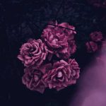 دانلود آهنگ چه دختر ناز و خوشگلی دارم من ماشالله