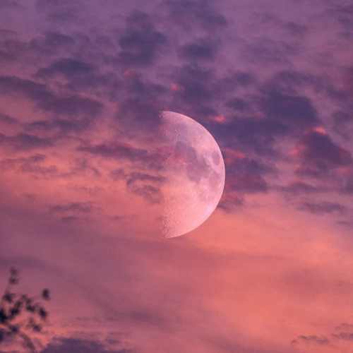 دانلود اهنگ د آخه مگه بچم من دلمو به تو یکی نمیدم قطعا