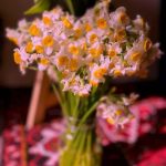 دانلود آهنگ عشق قشنگم یار قلبم