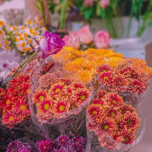 دانلود آهنگ ای گل بهارم عشق ماندگارم