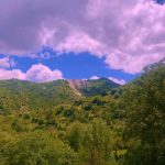 دانلود آهنگ نشی غریبه با دلم جز تو‌ کسی رو ‌ندارما