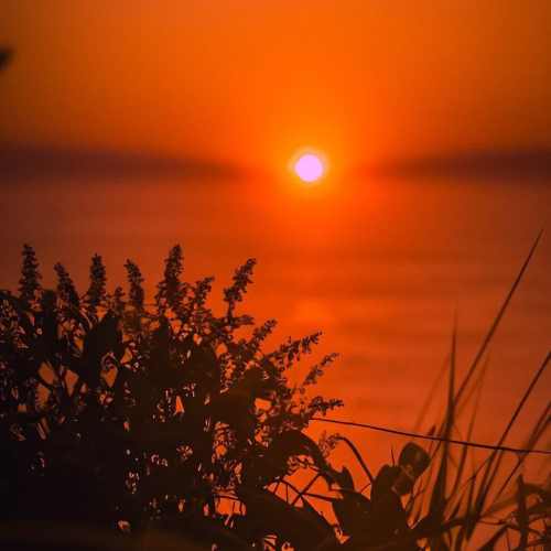 دانلود آهنگ تا صدا میکنی اسممو دلم میلرزه