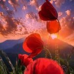 دانلود آهنگ سکوت شویلم خوین چویلم
