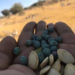 دانلود آهنگ علی ساسانی پور بن