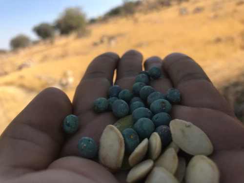 دانلود آهنگ علی ساسانی پور بن