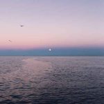 اهنگ نگاه کن منو خودت خواستی که من قلبمو بگیرم ازت