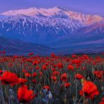 اهنگ چه هوایی چه بارونی عجب عطر زمستونی