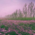 دانلود آهنگ سنی سویرم دیوانیم