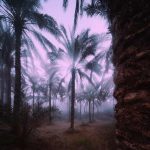 آهنگ شال و کلاه کن آسمون خیسه