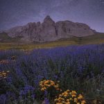 اهنگ بمیرم سیت